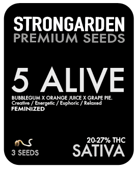 FIVE ALIVE SEED